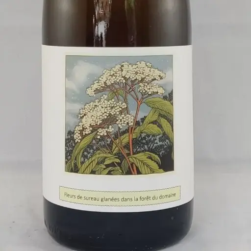 FLEUR DE SUREAU (2023)